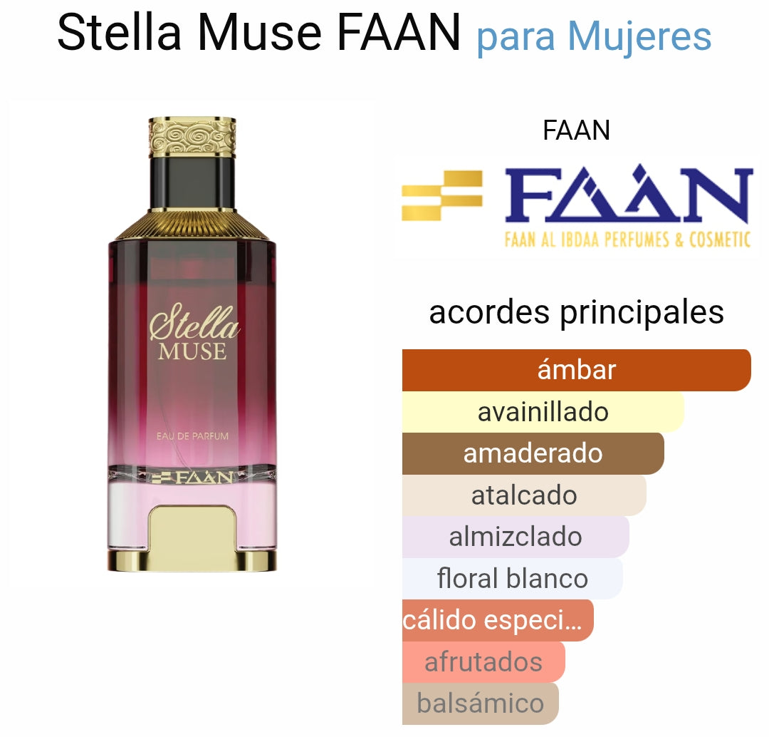 Stella muse