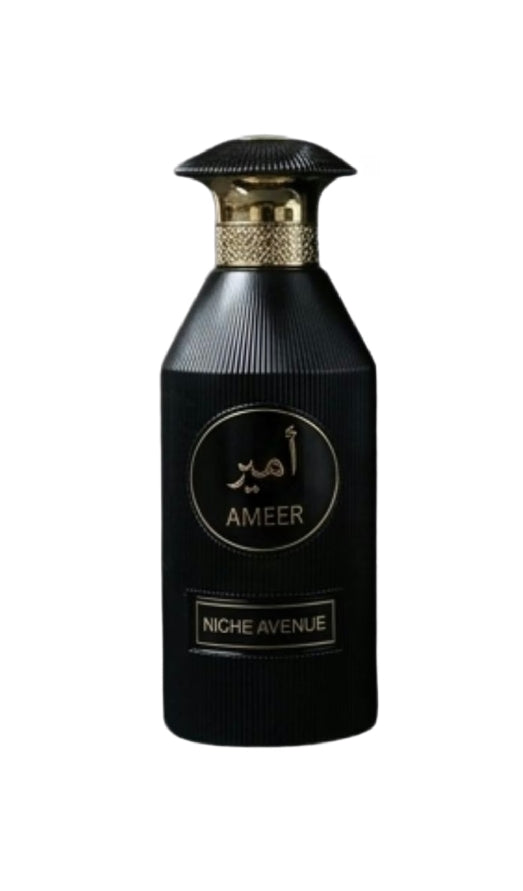 Ameer Niche Avenue
